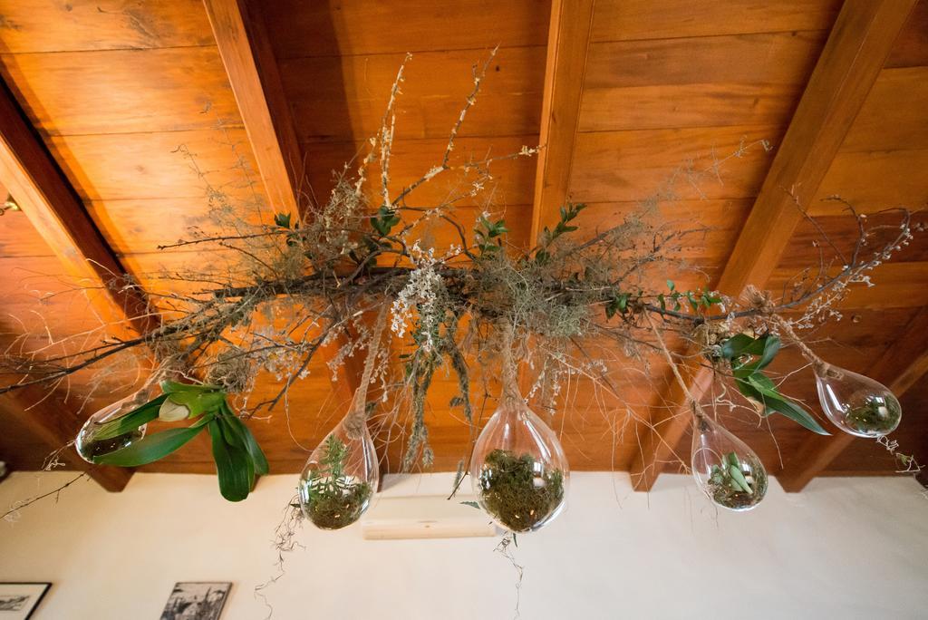Tulbagh Country Guest House - Cape Dutch Quarters المظهر الخارجي الصورة